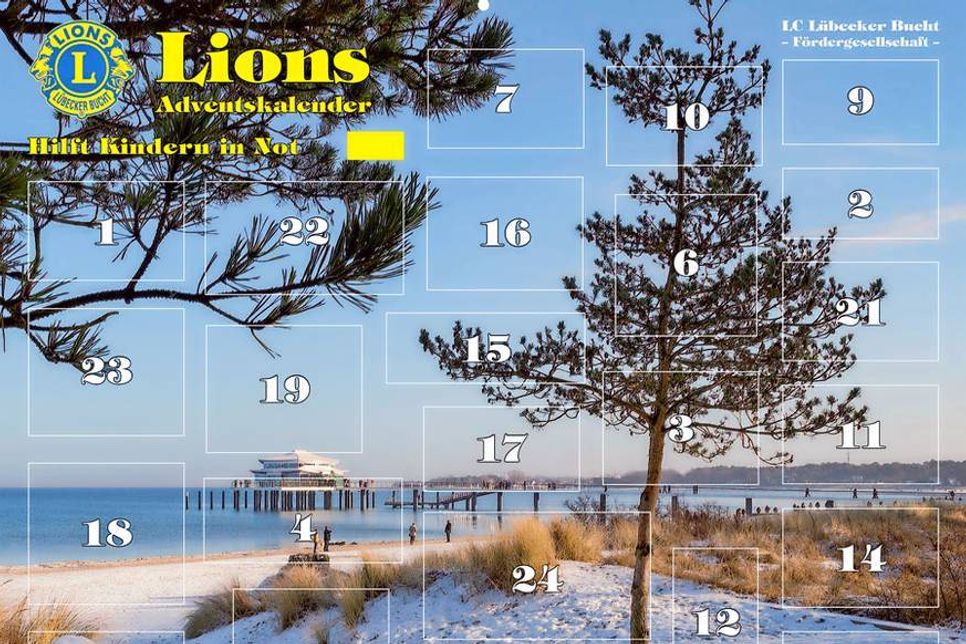 Die winterliche Seeschlöschenbrücke ist in diesem Jahr das traumhaft schöne Motiv des Lions-Adventskalenders. (Foto: Lions)