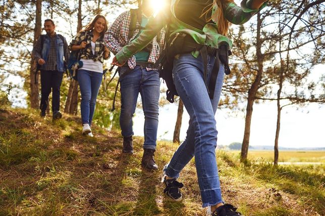 Gruppen, Familien und Freundeskreise nutzen den freien Tag für Fahrradtouren, Wanderungen oder Picknicks.