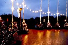 Der Seebrückenvorplatz im Lichterglanz: Am Samstag lädt der Ortsbeirat zum Bäumeschmücken, Glühwein und guten Gesprächen für einen guten Zweck ein.