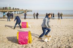 In geselliger Runde mit Gleichgesinnten lädt Dogdance und Gerätespaß dazu ein, auf zwei Beinen und vier Pfoten Spaß zu haben. Foto: www.luebecker-bucht-ostsee.de