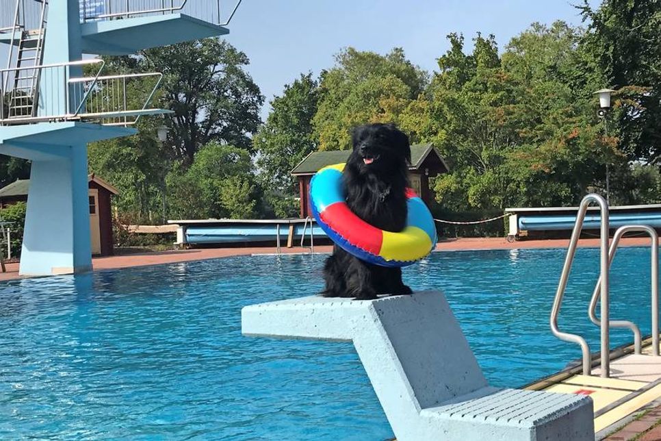 Crazy Goblins Bosse, zwei Jahre, Schwimmanfänger. (Foto© Petra Rathje)
