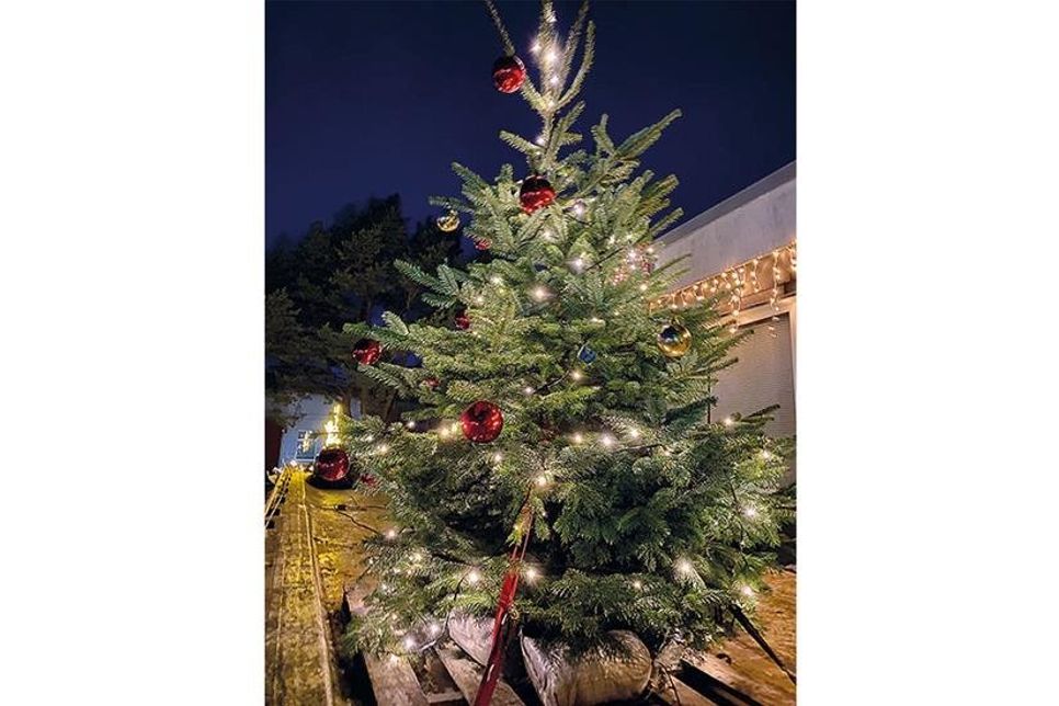 Da der Scharbeutzer Adventsmarkt dieses Jahr ausfällt, findet der Weihnachtsbaumverkauf am 3. Adventswochenende am Feuerwehrgerätehaus statt.