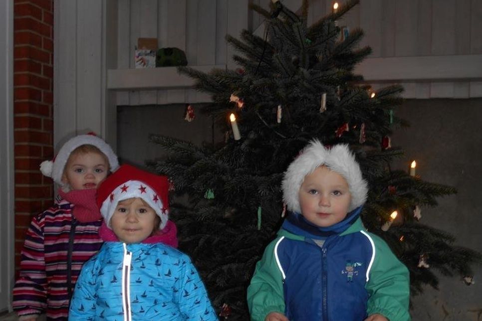 Sierksdorf. Am vergangenen Mittwoch durften die älteren Kinder der Kita Küstenkids den ersten Tannenbaum für die neu eröffnete Kita vom Forst Sierhagen abholen. Die Einrichtung und vor allem die Kinder möchten sich recht herzlich für die Spende bedanken. Nun wurde der Weihnachtsbaum von allen Kindern geschmückt und bringt weihnachtliche Stimmung in die Kita Küstenkids vom Deutschen Kinderschutzbund. (red)