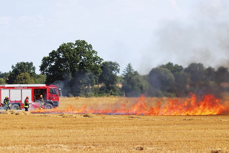 Über 50 Feuerwehrleute üben Vegetationsbrandbekämpfung in Hemmelsdorf