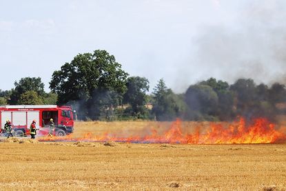 Über 50 Feuerwehrleute üben Vegetationsbrandbekämpfung in Hemmelsdorf