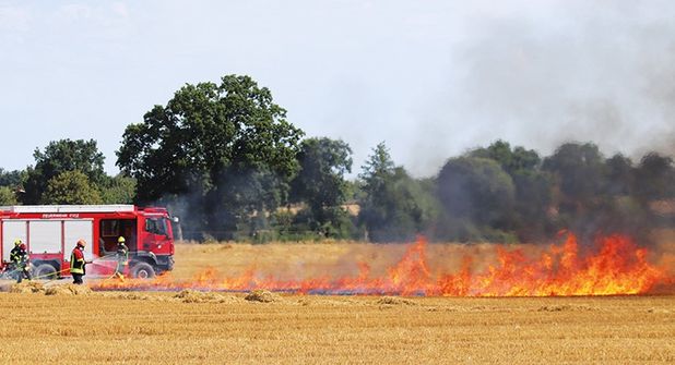 Über 50 Feuerwehrleute üben Vegetationsbrandbekämpfung in Hemmelsdorf