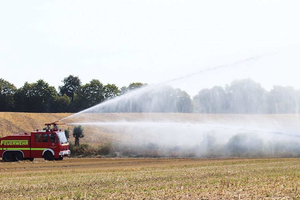 Über 50 Feuerwehrleute üben Vegetationsbrandbekämpfung in Hemmelsdorf