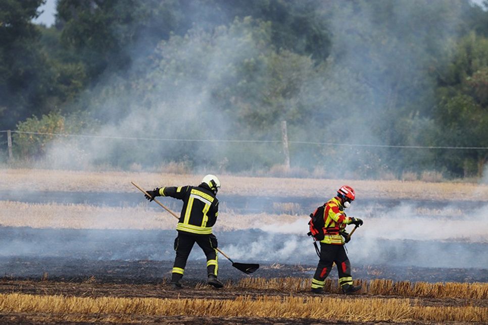 Über 50 Feuerwehrleute üben Vegetationsbrandbekämpfung in Hemmelsdorf