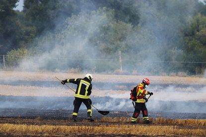Über 50 Feuerwehrleute üben Vegetationsbrandbekämpfung in Hemmelsdorf