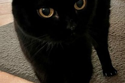 Jule bringt Ruhe, Zärtlichkeit und viel Herz mit.