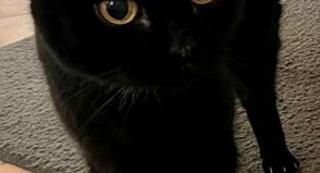 Jule bringt Ruhe, Zärtlichkeit und viel Herz mit.