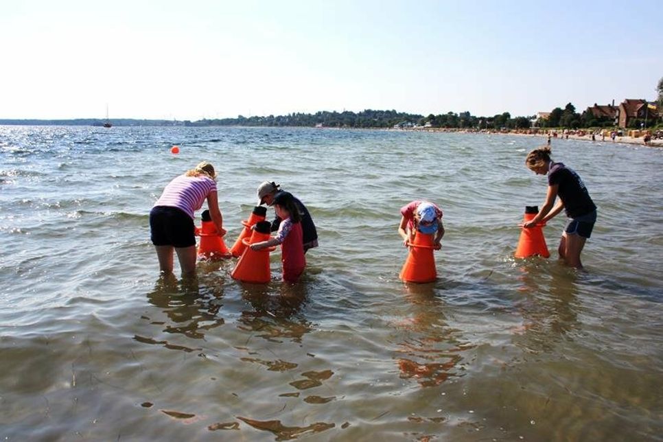 Ostsee-Entdeckertour.
