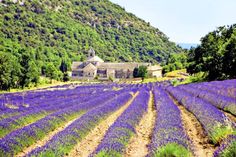 Avignon, eine bezaubernde Stadt in der Provence in Südfrankreich, Stadt der Päpste und der Kultur.