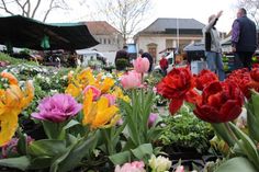 In frühlingshaftem Ambiente präsentierten die Händler passende Angebote für einen gelungenen Start in diese schöne Jahreszeit.