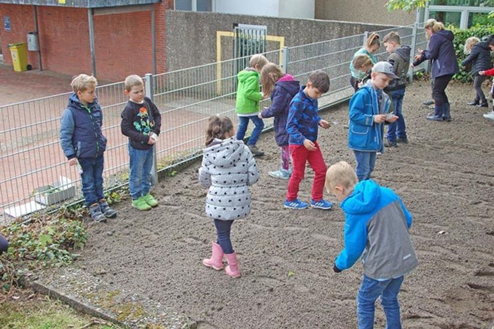 Nun die Saat noch vorsichtig in die Erde treten und dann – abwarten.