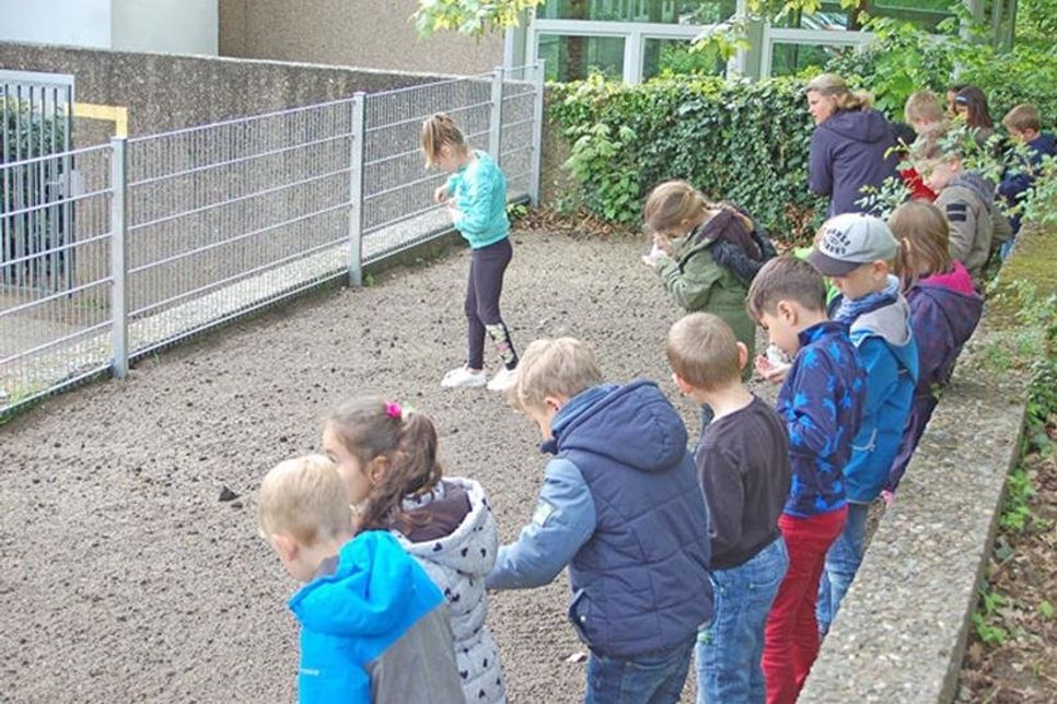 Auf die Plätze, fertig los: Die Aussaat kann beginnen.