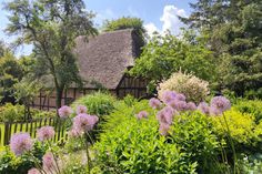 Jetzt im Juni steht der Liturgische Garten an der Pfarrscheune Schönwalde in voller Blüte. (Foto: Romahn)