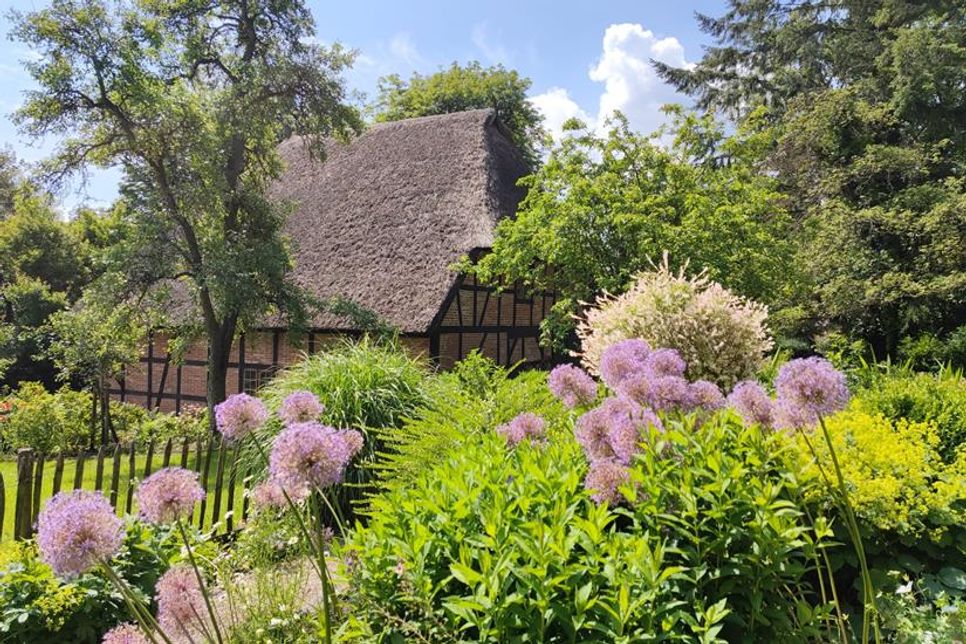 Jetzt im Juni steht der Liturgische Garten an der Pfarrscheune Schönwalde in voller Blüte. (Foto: Romahn)