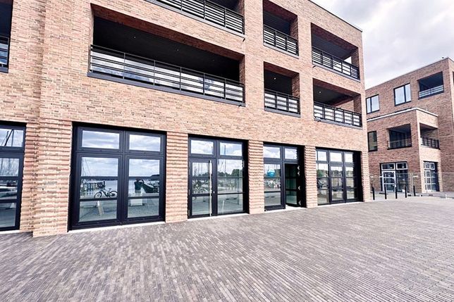 Neue Kunstmeile am Fischereihafen: Pop-Up-Galerie der KünstlerGemeinschaft Travemünde e.V.