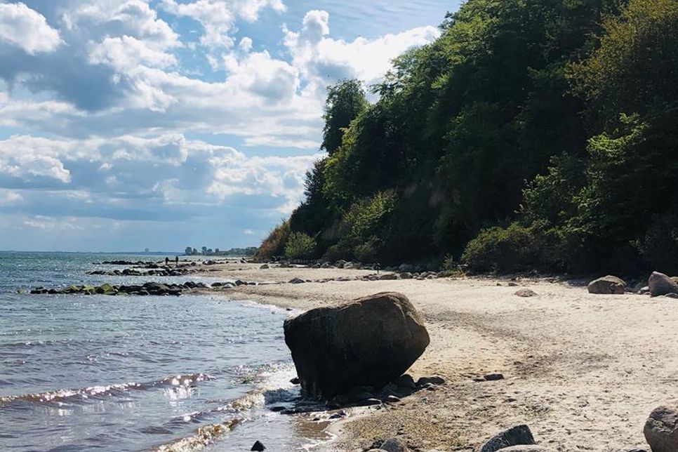 Die Ostsee hat nicht nur Sandstrände zu bieten. Es gibt auch Strandabschnitte, die unberührt sind und daher als Naturstrand bezeichnet werden.