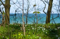 Frühling an der Ostsee.