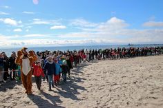 Neben dem goldenen Ei befinden sich weitere kleine Eier mit tollen Preisen im feinen Sand. (Foto: Tourismus-Service Grömitz)