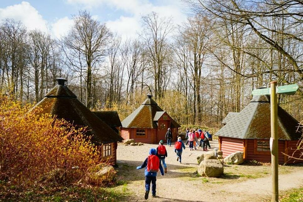 Erlebnis Bungsberg. (Foto: Stiftungen der Sparkasse Holstein)