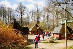 Erlebnis Bungsberg. (Foto: Stiftungen der Sparkasse Holstein)