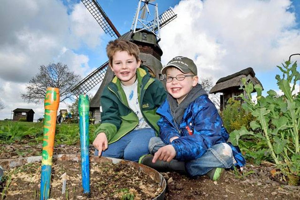 Maxi und Gunnar, die pfiffigen Nachwuchsgärtner vom Kindergarten „Die kleinen Strolche“ haben auf ihrem Beet die ersten Radieschenblätter entdeckt und sind mächtig stolz auf das Ergebnis. Die zünftige Ernte darf also in absehbarer Zeit schon mal eingeplant werden.