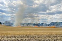 Auf einem Feld neben der B76 in Niendorf/Ostsee ist es zu einem ausgedehnten Flächenbrand gekommen.