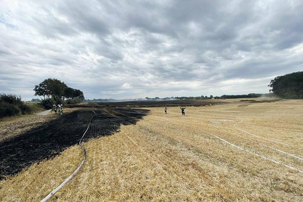 Auf einem Feld neben der B76 in Niendorf/Ostsee ist es zu einem ausgedehnten Flächenbrand gekommen.