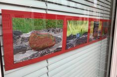Viele Geschäfte haben ihre Schaufenster zur Verfügung gestellt, sodass sich ein buntes Band mit den Fotografien durch Neustadt zieht.