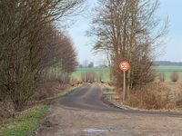 Kann Wander*innen auch passieren: Rehe kreuzen den Stolper Weg.