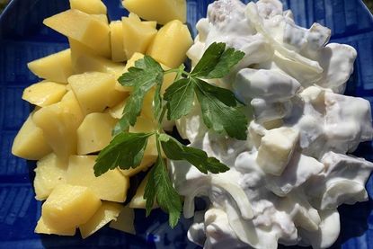 Matjes ist der Star der norddeutschen Küche und schmeckt besonders gut zu Kartoffeln.