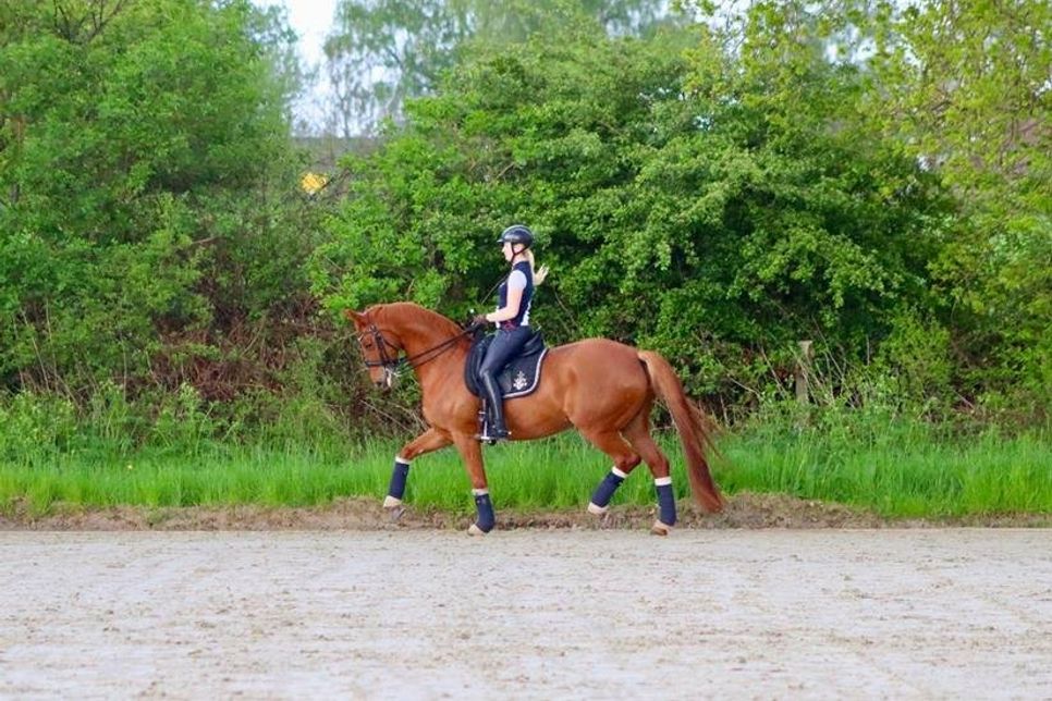 Zara-Adina von Zitzewitz, Deutsche Amateurmeisterin Dressur in 2020, hat den neuen Platz mit ihrer selbstgezogenen Erfolgsstute Donna Dini beritten und den Boden als sehr gut beurteilt.
