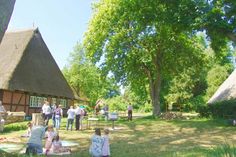 In der schönen Atmosphäre des Naturerlebnisraumes „historischer Pfarrhof Schönwalde“ lassen sich viele Entdeckungen machen. Im August verbinden sich Natur- und Kinoerlebnis mit drei Kinoabenden unter freiem Himmel. Start ist am 1. August um 21 Uhr mit „Mikrokosmos - das Volk der Gräser“.