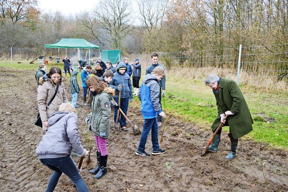 Schüler der 6a der Arnesboken Schule aus Ahrensbök pflanzten die ersten Bäume auf dem rund viereinhalb Hektar großen Areal bei Holstendorf. (Foto: Setje-Eilers)