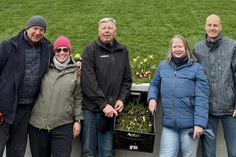 Der Ortsbeirat pflanzte mit Helfern Narzissen.