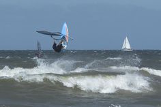 Windsurfer.