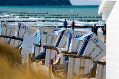 Strandkörbe am Ostseestrand. (Foto: ostsee.de INFO GmbH)