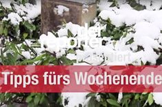 Nein, Sie sind nicht im falschen Film gelandet. Hier kommen tatsächlich die Tipps zum Osterwochenende im Schnee.