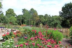 Der farbenprächtige Liturgische Garten auf dem Pfarrhof Schönwalde ist ein mögliches Motiv für den Fotowettbewerb „Natürlich Glück“ den der Freundeskreis bis zum 18. September ausgeschrieben hat.