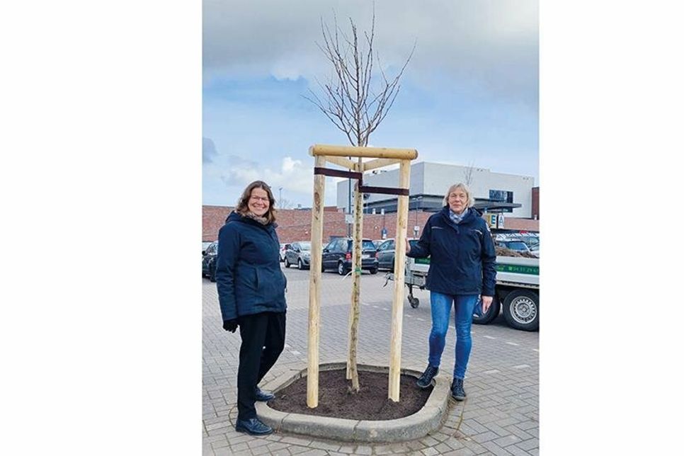 Dr. Katrin Engeln und Carolin Welchert am neu gepflanzten Gingkobaum. (Foto: Stadt Bad Schwartau)
