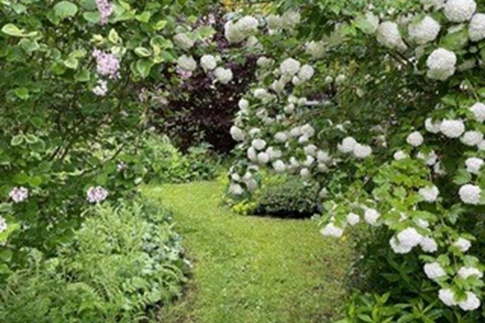 Gartenbesitzer öffnen ihre Pforten.