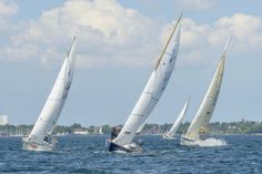 Neustadt Cup