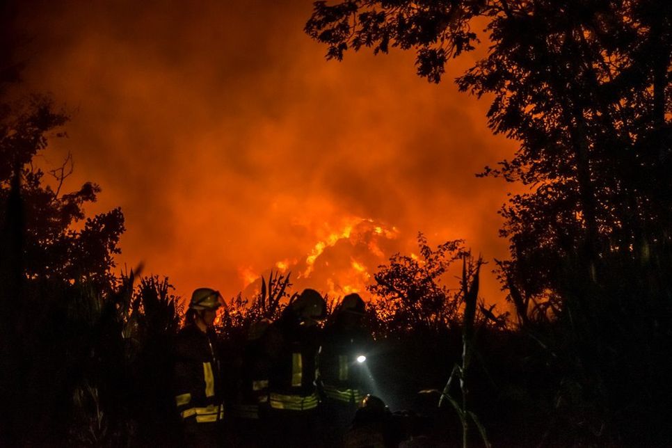 Foto: Arne Jappe/Fotojournalist/Digitalfotografie Nyfeler