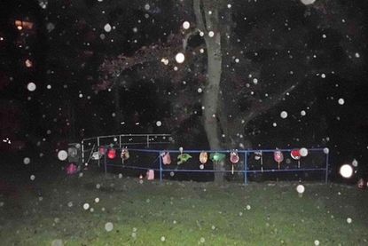 Bunte Farbtupfer in der Dunkelheit - die Sterntalergruppe erlebte am 11. November ein tolles Laternenfest.