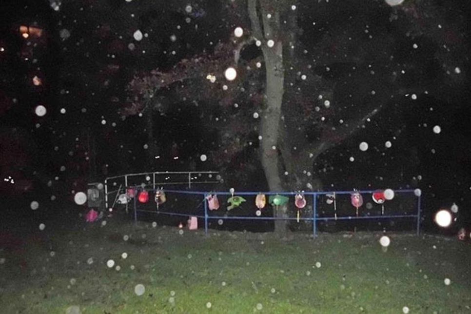 Bunte Farbtupfer in der Dunkelheit - die Sterntalergruppe erlebte am 11. November ein tolles Laternenfest.