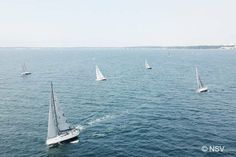 Bereits zum vierten Mal veranstaltet der Neustädter Seglerverein die große Segel-Regatta  „Neustädter Sonnenschuss“.