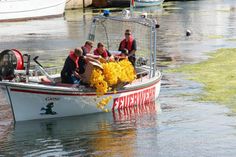 Die Kameraden der Freiwilligen Feuerwehr Neustadt begleiteten das Lions-Entenrennen und ließen die Gummienten zu Wasser.